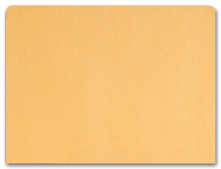 1076, File Pocket Envelopes, 40lb. Kraft, Non-Printed