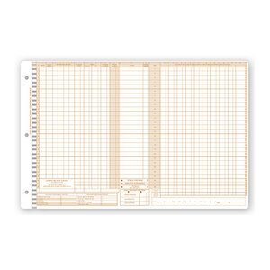 Daily Control Sheets, Pegmaster, Payment