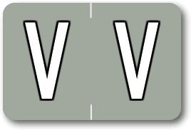 Sycom®/Barkley® Individual End-Tab Labels - V