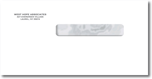 ADA Insurance Form Envelopes, Self-Seal