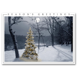 Winter Holiday Cards - All is Bright