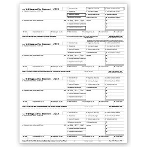 Laser Bulk W-2 Tax Forms - Horizontal Format, 4-Up