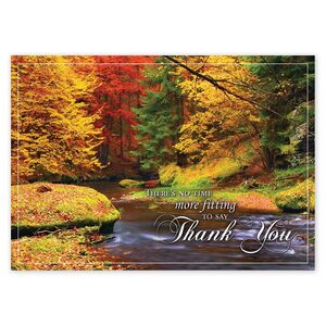 HP14319, Splashes Of Color Thanksgiving Cards