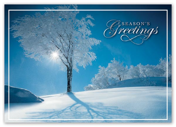 HP15303, Sky Blue Holiday Cards