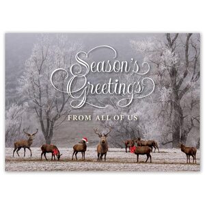 Holiday Card with 8 Deer in Forest