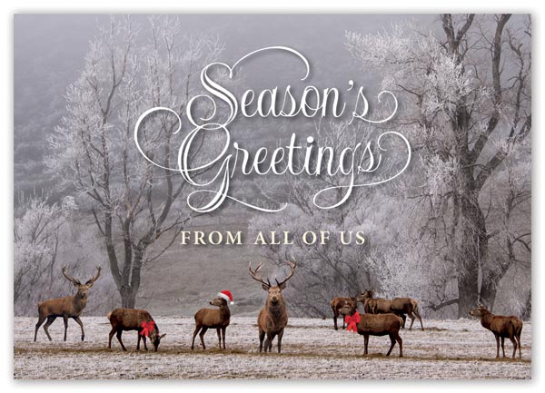 Holiday Card with 8 Deer in Forest