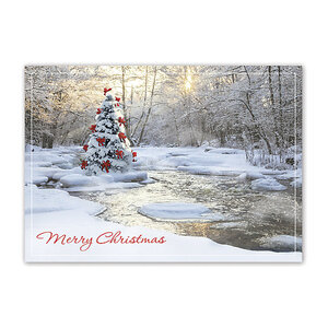 Hoilday Card-Tranquil Christmas