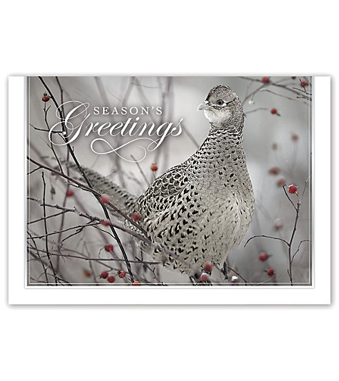 Holiday Card- Feathered Friend