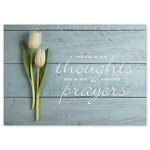 Heartfelt Thoughts Sympathy Cards