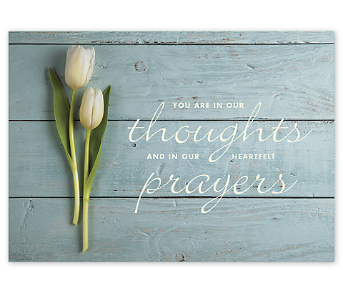 Heartfelt Thoughts Sympathy Cards