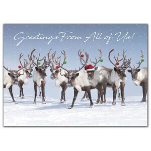 Custom printed greeting cards with reindeer ready for the holidays.