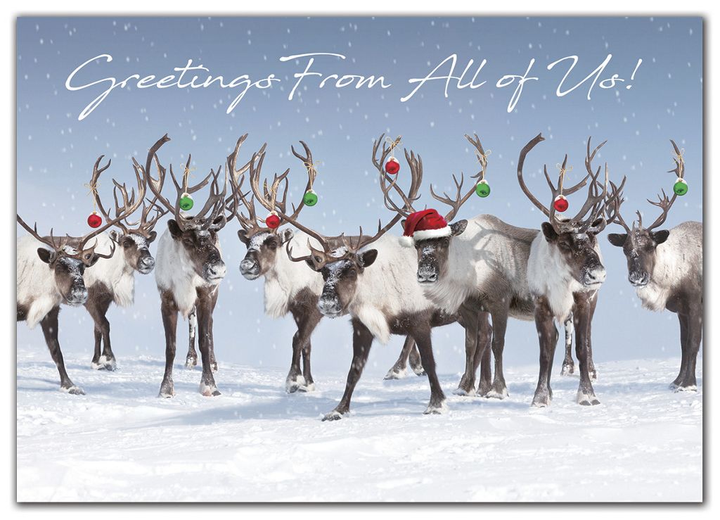 Custom printed greeting cards with reindeer ready for the holidays.