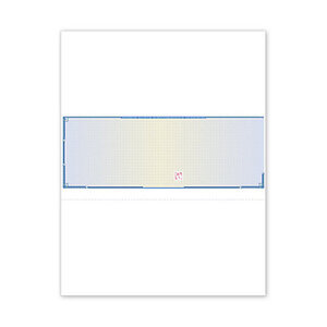 Blank laser checks paper stock