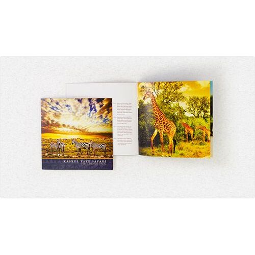 Full color catalog printing service