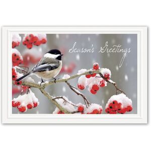 Tweet Greetings Holiday Postcards Featuring Cute Bird on Branch with Berries