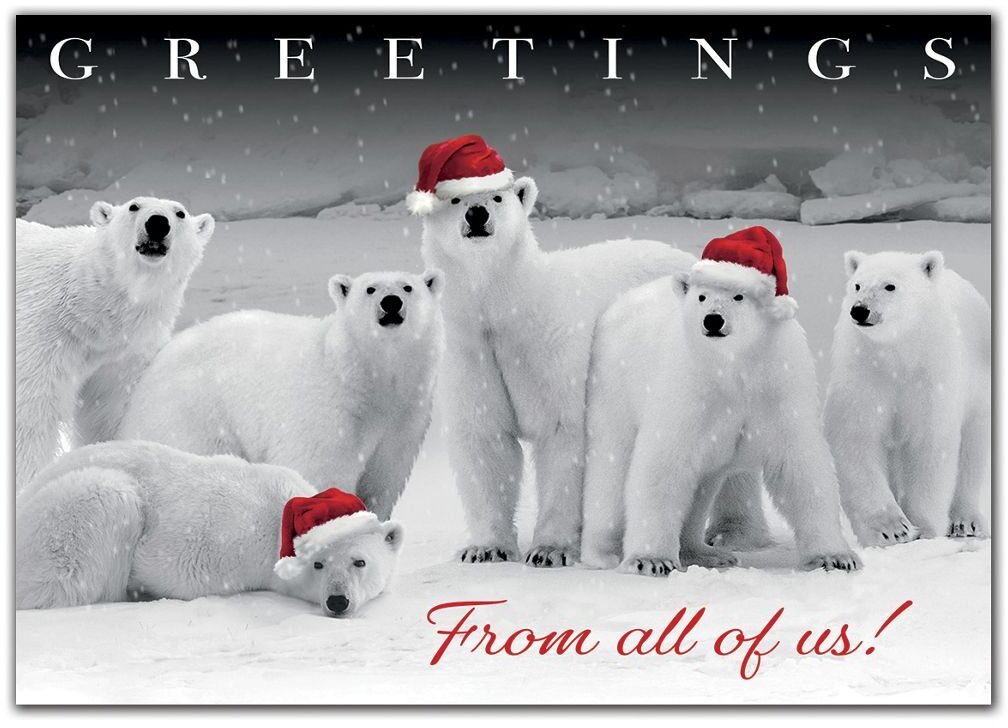 Custom Business Holiday Cards with Six Polar Bears and Santa Hats