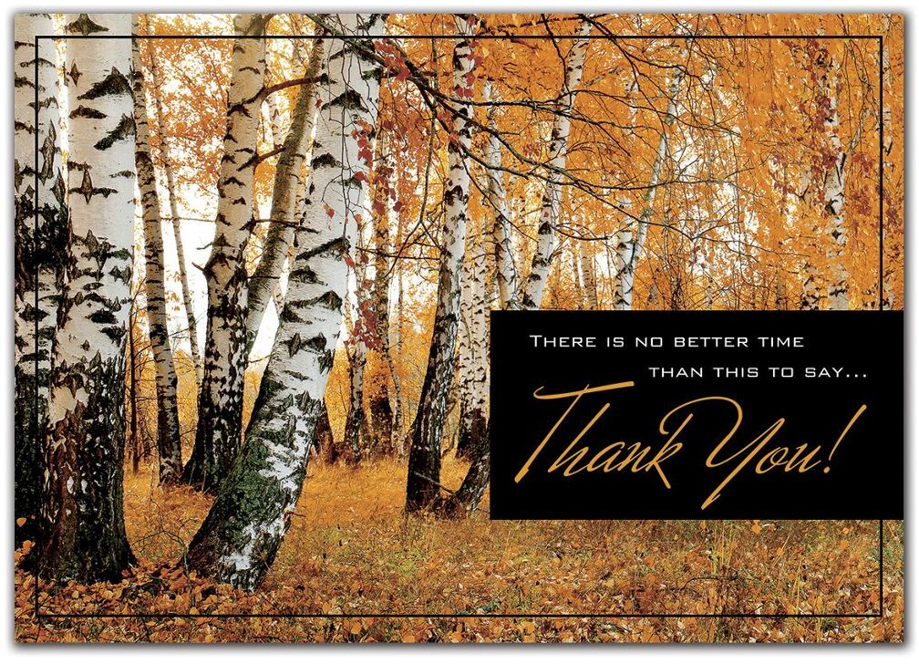 Custom Business Thanksgiving Cards with Fall Theme