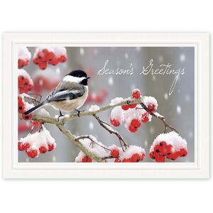 Custom Printed Holiday Cards with Black and White Bird on Berry Branch