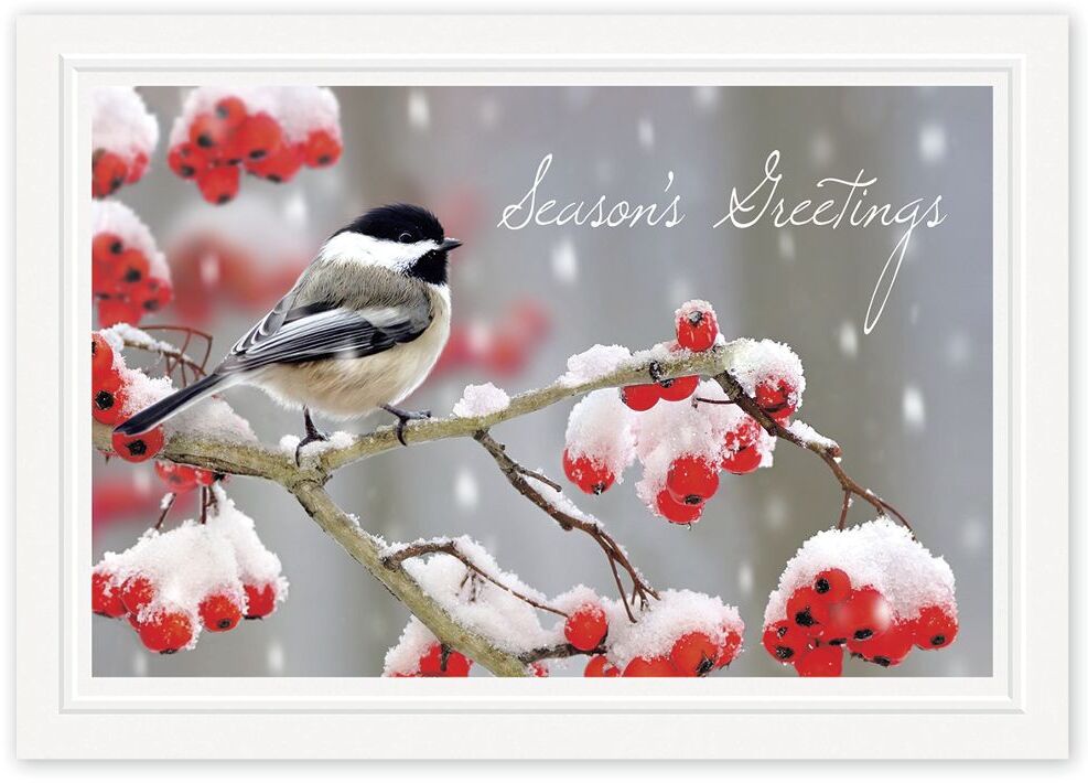 Custom Printed Holiday Cards with Black and White Bird on Berry Branch