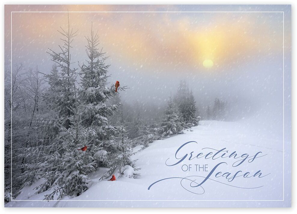 Custom business greeting cards with sunrise above snowy forest