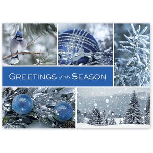 Icy Blue and Silver Wonder Business Holiday Cards