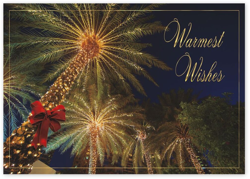 Custom Holiday Greeting Cards - Tropical Lit Palm Trees