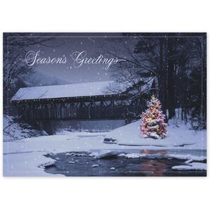 Custom Outdoor Christmas Tree Holiday Cards