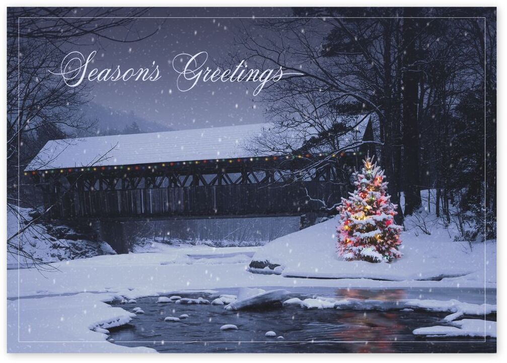 Custom Outdoor Christmas Tree Holiday Cards