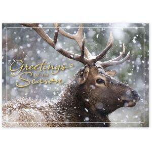 Custom Wildlife Holiday Greeting Cards - Snowfall Deer