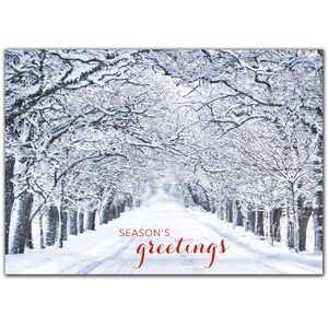 Custom Snowy Tree Lane Holiday Cards