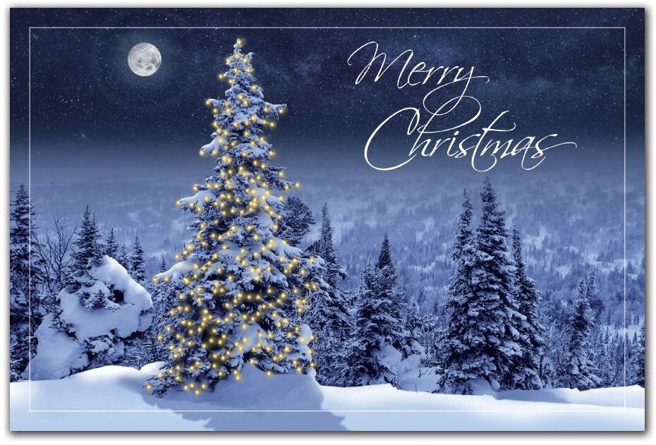 Custom Printed Christmas Postcards - Simply Stunning Moonlight