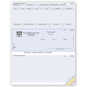 Custom Business Payroll Checks Online