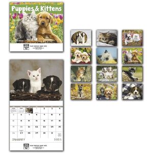 2025 Puppies & Kittens Wall Calendars