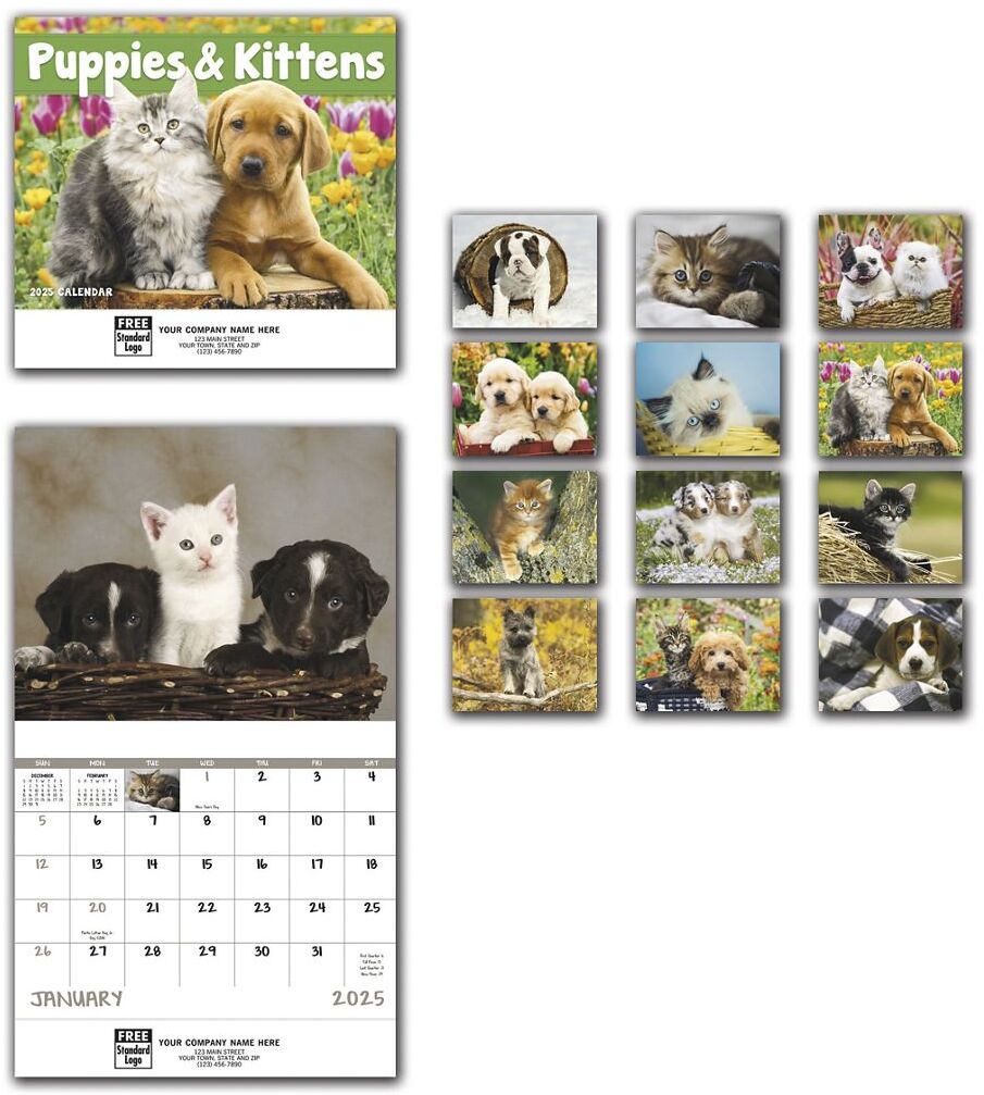 2025 Puppies & Kittens Wall Calendars