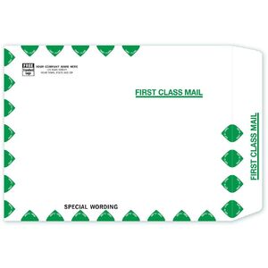 TF1013 - Tyvek® First Class Mailing Envelopes, 10" x 13"