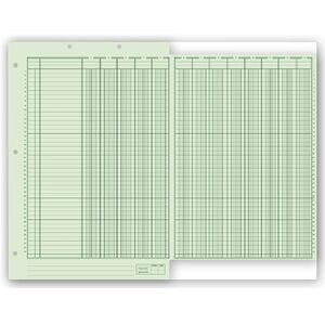 21126 - Columnar Work Sheets 