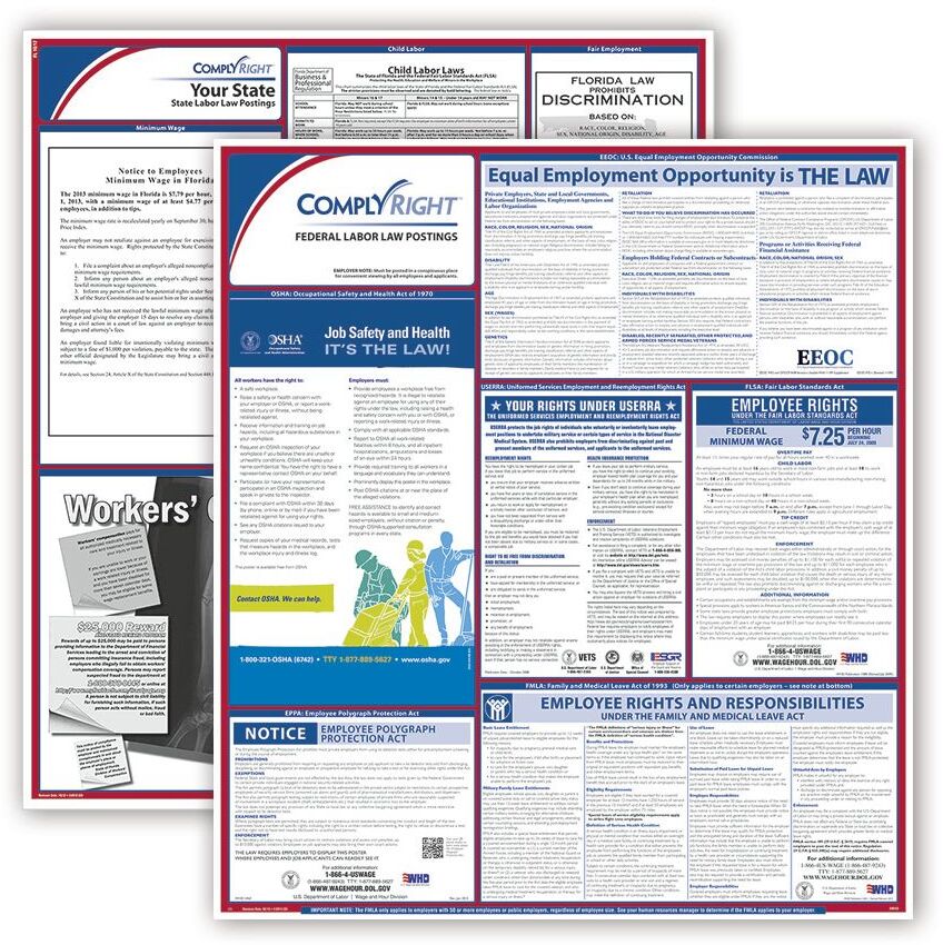 8972 - Federal & State Labor Law Posters Combo