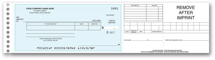 One write checks for expenses or payroll