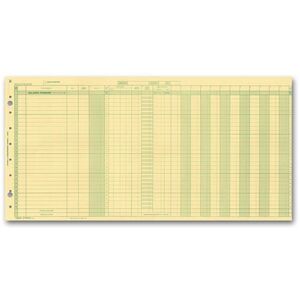 Yellow payroll journals for one write system