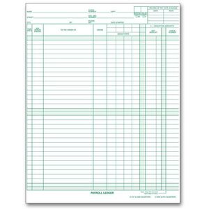 133031N - Payroll/Expense Ledger