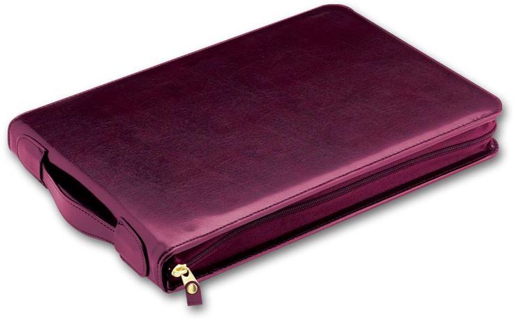 Leather check binder for 3-per-page checks