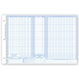 Pegmaster Accounting Control Sheets